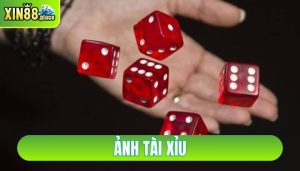 ảnh tài xỉu