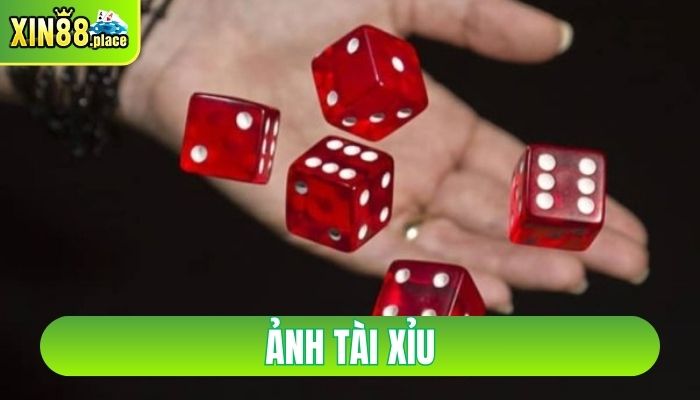 ảnh tài xỉu