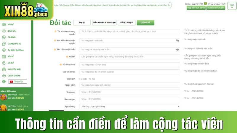 Các thông tin cần điền nếu muốn làm cộng tác viên của nhà cái