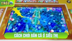 cách chơi bắn cá ở siêu thị