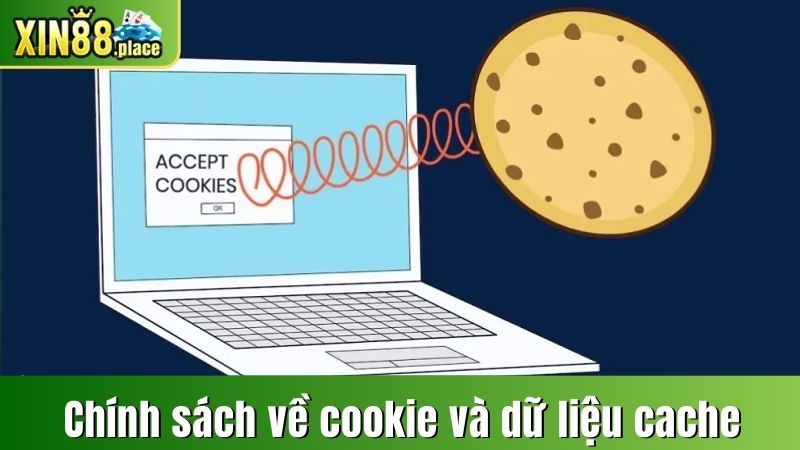 Chính sách về cookie và dữ liệu cache
