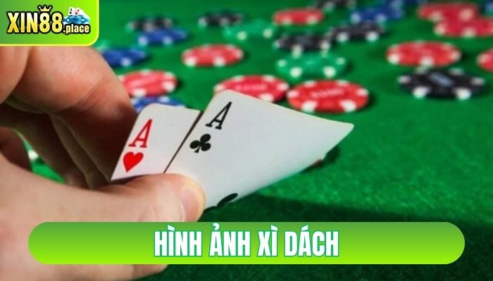 hình ảnh xì dách