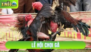 lễ hội chọi gà