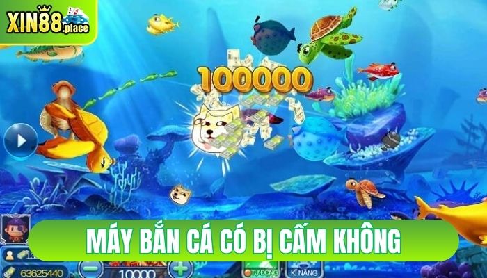 máy bắn cá có bị cấm không