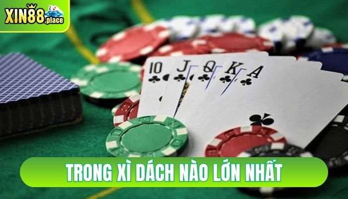 trong xì dách nào lớn nhất
