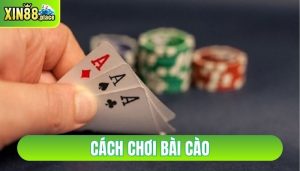 cách chơi bài cào