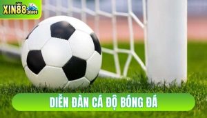 diễn đàn cá độ bóng đá