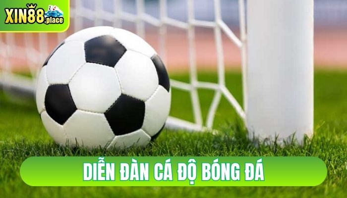diễn đàn cá độ bóng đá