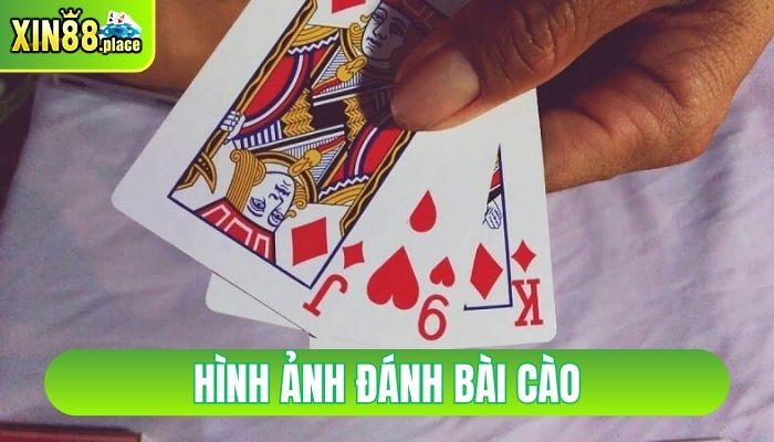 hình ảnh đánh bài cào