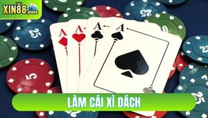 làm cái xì dách