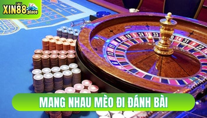 mang nhau mèo đi đánh bài