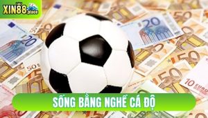 sống bằng nghề cá độ
