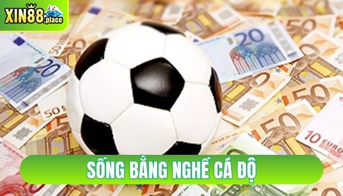 sống bằng nghề cá độ