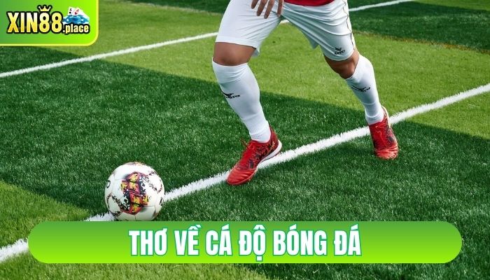 thơ về cá độ bóng đá